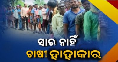 ରାଜ୍ୟବ୍ୟାପୀ ସାର ପାଇଁ ଚାଷୀ ହାହାକାର କରୁଛି ହେଲେ ସରକାର ସଂପୂର୍ଣ୍ଣ ଉଦାସୀନ
